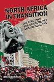 North Africa in Transition: The Struggle for Democracy and Institutions (Adelphi series) by Ben Fishman