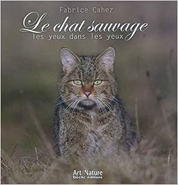 Le Chat Sauvage Les Yeux Dans Les Yeux French Edition Cahez Fabrice Amazon Com Books