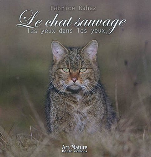 Le  chat sauvage