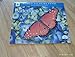 2017 WWF Butterflies Deluxe Wall Calendar. New, never opened. Factory Sealed. by 