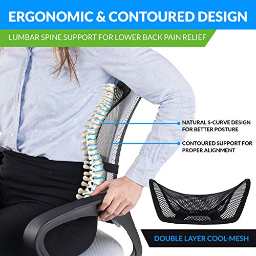 Easy Posture Lumbar Support (New Double Premium Mesh w/Adjustable Lock