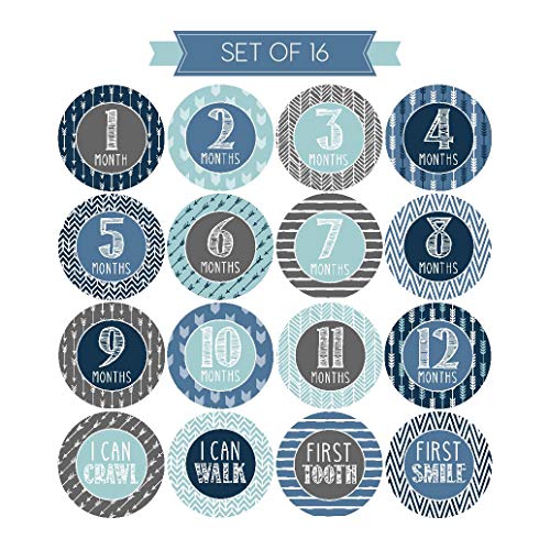 1 Milestone+Stickers+Monthly+Scrapbook+Registry