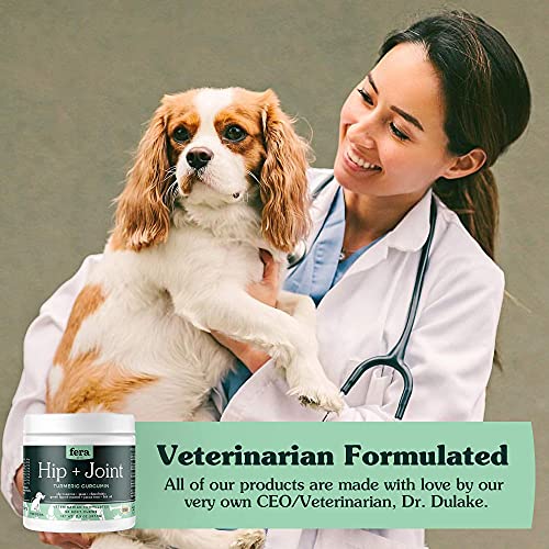 chewy joint supplement