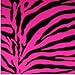 Crutcheze Pink Zebra Crutch Bag, Pouch, Pocket, Tote Washable Designer Fashion Orthopedic Products Accessories