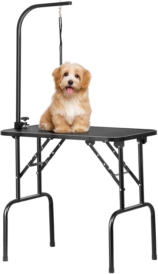 dog grooming table near me