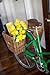 Nantucket Bicycle Basket Co. Cisco Pannier Basket with Hooks, Honey