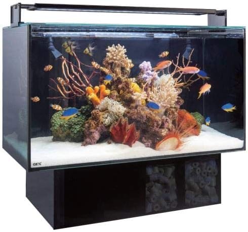 Amazon ジェックス 水槽 グラステリア アグス Of 450 ジェックス 水槽 通販