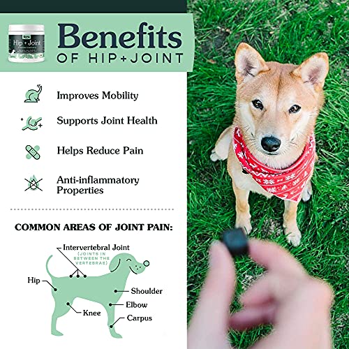 chewy joint supplement