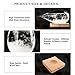Storm Glass Weather Forecast Weather Station, GMISS Creative Fashion Weather Forecaster, Storm Glass Bottle Barometer on Wooden Base, Home and Office Decor & Gifts（large）