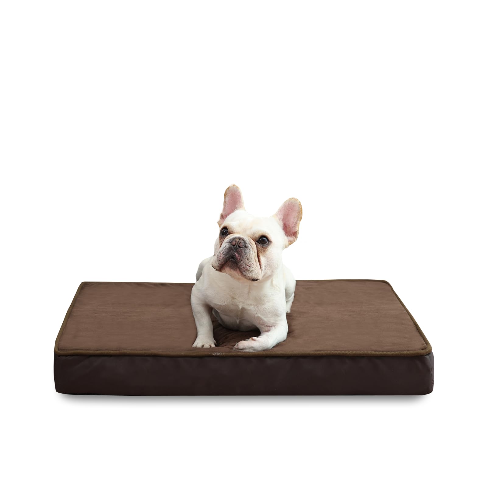 Jaspuriea Small Dog Beds Washable with Waterproof Removable Cover, Orthopedic Dog Bed with Anti-Slip Bottom, Deluxe Flannel Comfy Dog Crate Mattress, Brown, 60x45x9cm