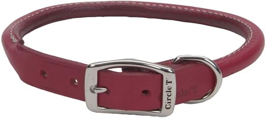 circle t rolled leather collar