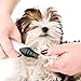 oneisall Dog Nail Grinder - Low Noise Pet Nail Trimmer, Cordless & Electric Rechargeable Nail Grinder, Paws Grooming & Smoothing for Small Medium Dogs Cats