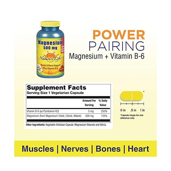 Natures Life Magnesium 500mg High Potency Magnesium Supplement Plus Vitamin B6 for Muscle