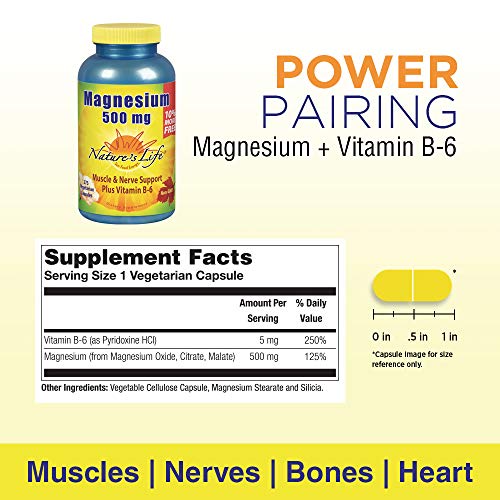 Natures Life Magnesium 500mg High Potency Magnesium Supplement Plus