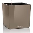 Lechuza Cube 30 Medium Flower Indoor/Outdoor Garden Floor Self-Watering Planter with Drainage Hole with Plant Substrate Contemporary Poly-Resin H30 L30 W30 cm Shiny Taupe 3.5 Kg