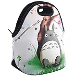 Newplenty Lunch Bag Waterproof Picnic Tote Insulated Cooler Zipper Box, Totoro