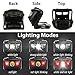 Ultra Bright CREE LED Headlamp - Great For Running Camping Hiking Hunting Dog Walking Cycling Night Fishing Working Outdoor Sport and More