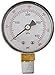 Pentair 15060-0000T Pressure Gauge Replacement Pool/Spa Filter, Cleaners and Valve