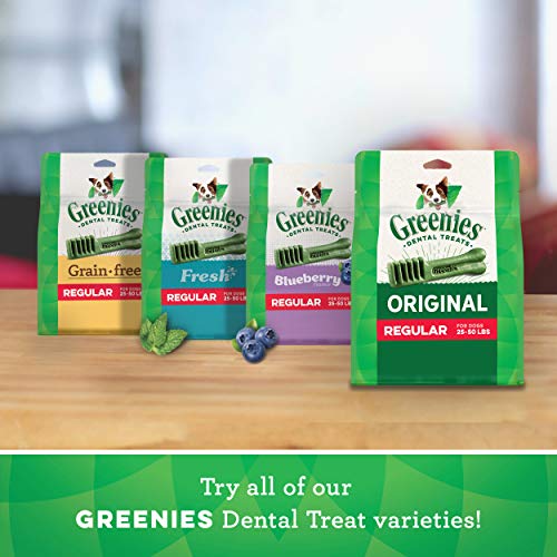 Picture of Greenies Petite Original Large Natural Dog Dental Care Chews Oral ...
