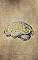 Livro The Golden Book of Neuropsychopedagogy: Pedagogical Immersion - Volume I