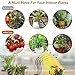 Grow Light, Growing Lamps for Indoor Plants, Ochter 80 LED Grow Light, Full Spectrum Plant Grow Lights for Plants Growth with 3/6/12H Intelligent Timer, 10 Dimmable Levels, USB or AC Powered