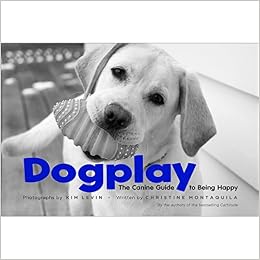 Dogplay: The Canine Guide To Being Happy (9781584798279)