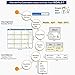PLANNERPRO Large 12 month Dry Erase Calendar 2021- Laminated, 60
