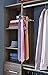 ClosetMaid 8950 SuiteSymphony Tie and Belt Rack, Satin Nickel