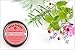 Wild Thera Concentrated Herbal Relief for Breast Soreness. Use for PMS and Healthy Breast Tissue. Increase Circulation, Blood Flow and Lymph Drainage. Use During PMS, Menopause, Breastfeeding etc.