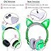 Cat Kids Headphones, Over/On Earphones with LED Glowing USB Rechargeable, Girls Boys Toddlers Wired Foldable Game Headset for Phone PC, Electronic Learning Toy School Supplies Prize