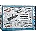 EuroGraphics Aircraft Carrier Evolution Puzzle (1000-Piece)