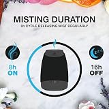 Air Wick Essential Mist Mandarin & Sweet Orange 4 x 20ml Refills view 5
