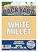 Backyard Seeds White Millet Bird Seed for Finches 8 Pounds (8 Pounds)