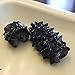 16oz-Dried Wild Sea Cucumber,岩刺参,Holothuria Mammata, Grade AAAA (mix size) 1LB