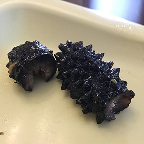 16oz-Dried Wild Sea Cucumber,岩刺参,Holothuria Mammata, Grade AAAA (mix size) 1LB - Thumbnail 4