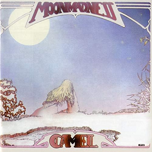Camel - Chameleon: The Best Of Camel (SHM-SACD) - Amazon.com Music