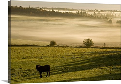 John Sylvester Gallery-Wrapped Canvas entitled Horses In The Morning Mist, North Wiltshire, Prince Edward Island, Canada