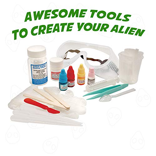 4 Playz+Anatomy+Gizzards+Operation+Science