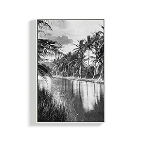Framed Canvas Home Artwork Decoration Plants Canvas Wall Art for Living Room, Bedroom - 16x24 inches