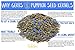 Gerbs Lightly Sea Salted Pumpkin Seed Kernels 1 lb. | Small Batch Roasted, No Additives, Resealable Bag | Crunchy & Savory | Top 14 Allergen-Free