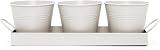CKB LTD Set of 3 Metal Herb Pots with Drip Tray Chalk White 4.5in pots view 2