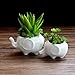 Set of 2 Cute Elephant Flower Pot,Modern White Ceramic Succulent Planter Pots/Tiny Flower Plant Containers (Elephant)