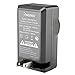 Insten Compact Battery Charger Set Compatible with Sony nex-6 a3000 NP-FW50 NEX-5R Alpha NEX-3 NEX-5 SLT-A33 SLT-A55 / Handycam HDR-FX1 HDR-HC1 HDR-SR1 / Mavica MVC MVC-FD91 MVC-FD92 MVC-FD88