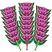 M & M Products Online 24-Pack Watermelon Paper Fans