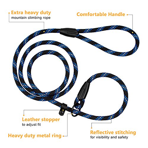 BRONZEDOG Rope Dog Leash 6ft Mountain Climbing Training Slip Show Lead