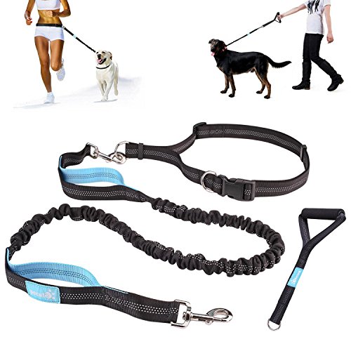 Pecute Hands Free Dog Leash with Extra Foam Handle - Extendable Bungee with Reflective Stitching - Waist Belt Adjustable Fits up to 48” Waist - For Jogging, Running, Hiking (Black and Blue)