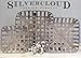 Silvercloud Trading Co. Tobacco Basket, Farmhouse Decor, Med 21
