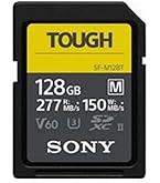 Amazon.com: Sony CEA-G80T 80GB CFexpress Type A Memory Card