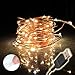 BrightTouch Mini LED String Lights - Powered by USB, Best Christmas Decorations, 100 Micro Lights, 33ft/10m (Warm White)