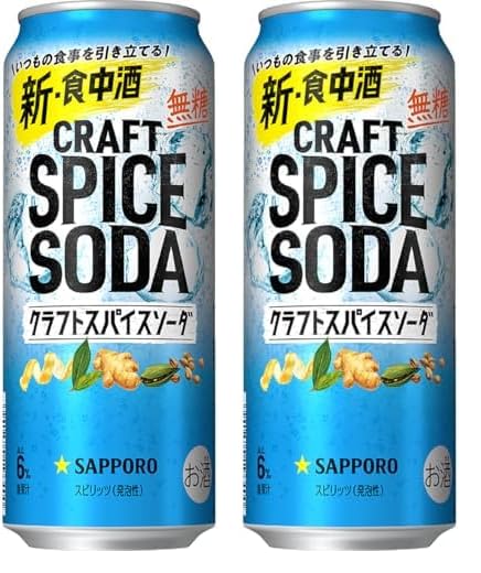 サッポロビール サッポロ クラフトスパイスソーダ [ チューハイ 500ml×48本 2ケース ] の商品画像